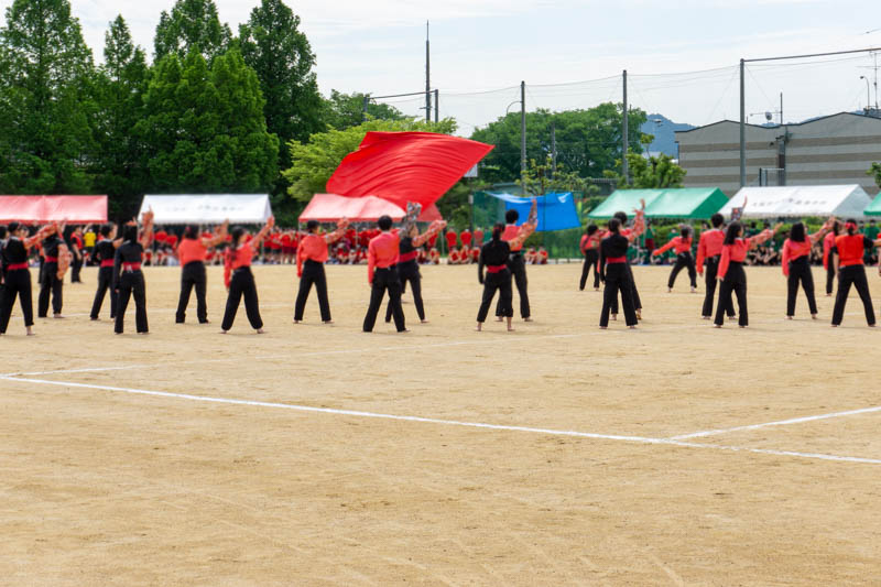 コロナ禍の枚方高校の体育祭はお昼までって本当 どうやったら午前で終わるのか見にいってきた 枚方つーしん