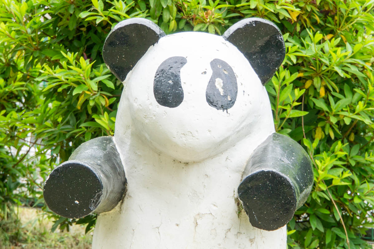 パンダ（にせもの）【枚方フォト】 - 枚方つーしん