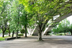 枚方から車で1時間以内で行ける大きめの公園27選【ひらつーまとめ】 - 枚方つーしん