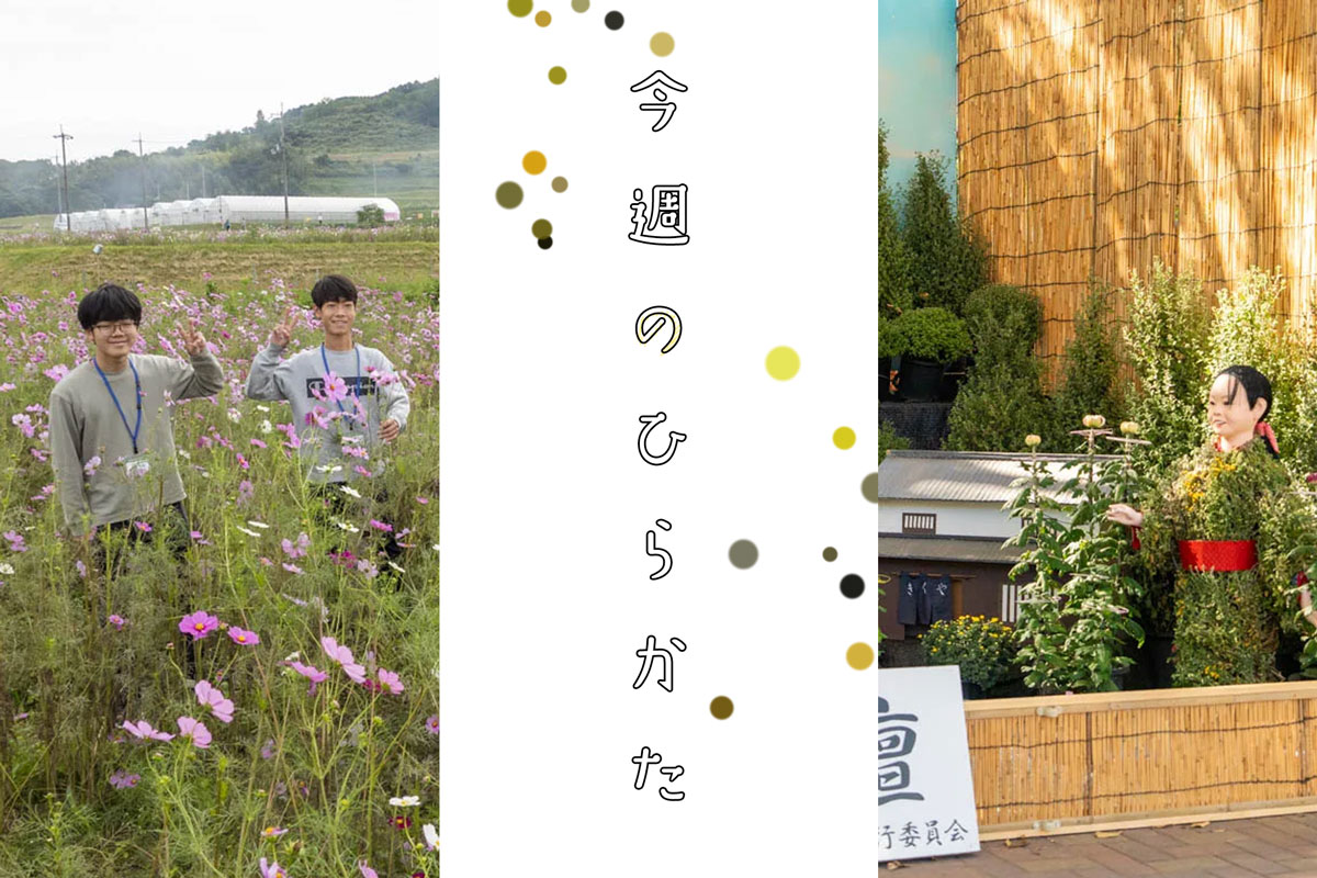 沙絵ᒼᑋªᐢ*✦⋆12月20日までKEEP(´ 煩わさ ｡•ω 