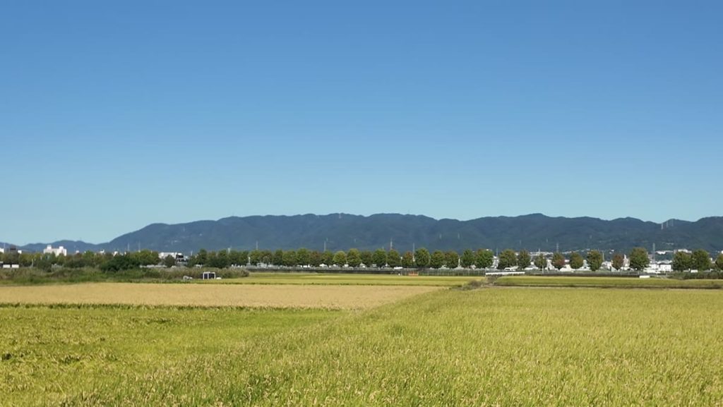 久御山町の車両基地予定地ちかくに広がる田園