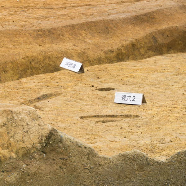 美濃山遺跡-1902096