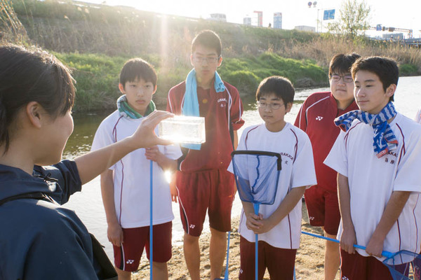 ぴー太郎-18041327