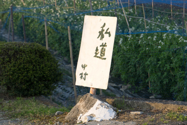 なかむらしどう-1804202