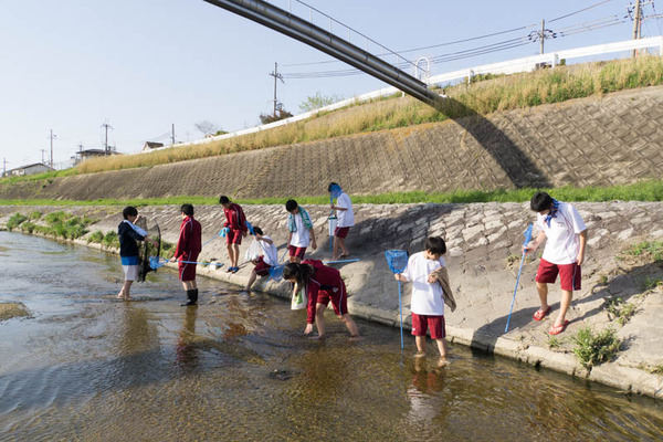 ぴー太郎-18041311