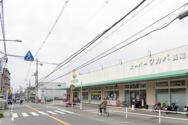 ワカバ-16030704