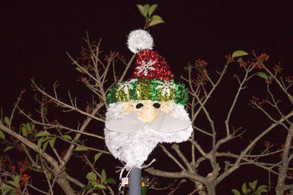 くずはイルミネーション-1612205