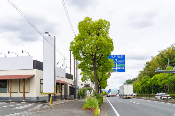 風林火山-2006012