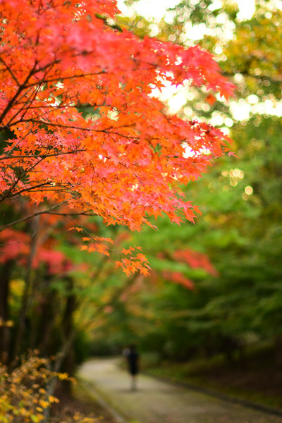 山田池スポット紹介小-19