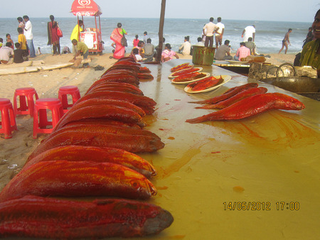 10404508774_aee861a1bc_c