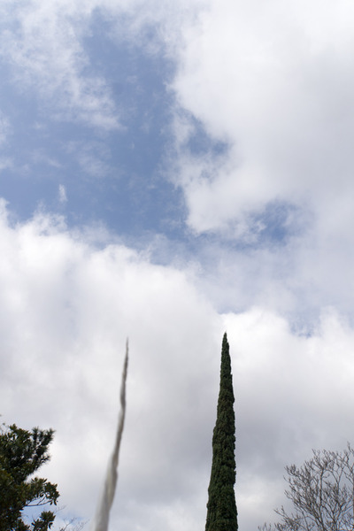 市民の森-16010711