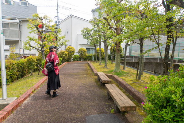 菊丘南公園-2004174