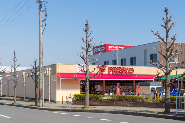 フレスコ-2003021