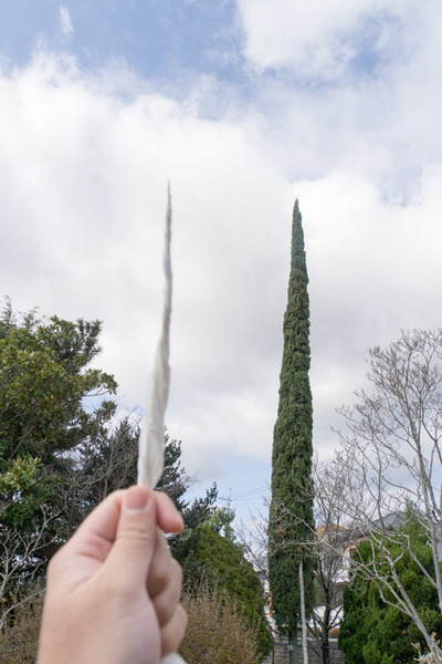 市民の森-16010710