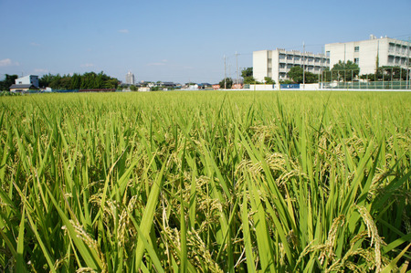 120919さだ中学校03