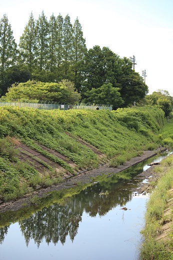 招提北町01