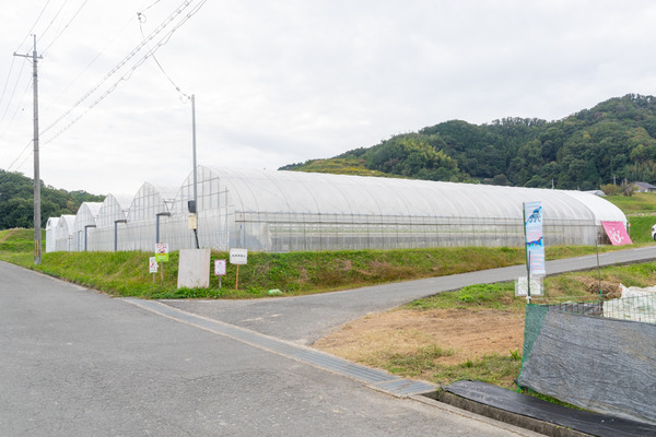 岸田の畑-2010225