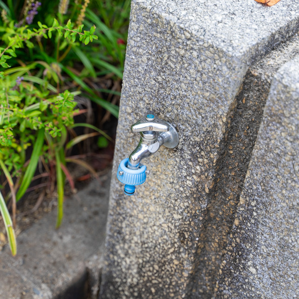 伊加賀公園-20110715