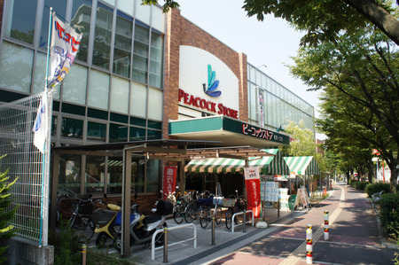 BRANZ香里ヶ丘20120728153235