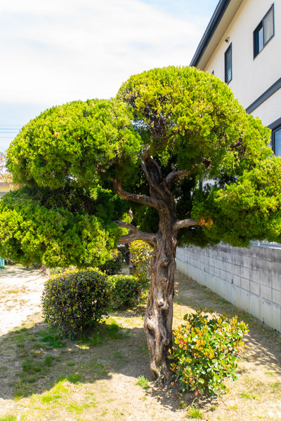 七ツ松公園-2004079