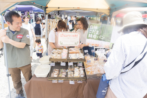 ひらかぐレポ小-56