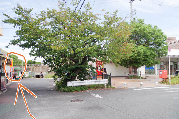 BrowserPreview_tmp (1)