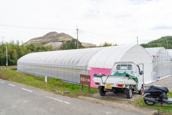 岸田の畑-2010224