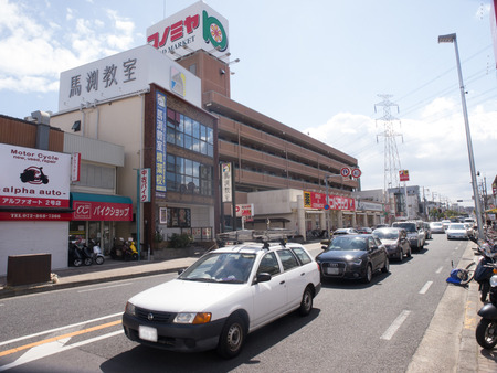 アルファ-1403101