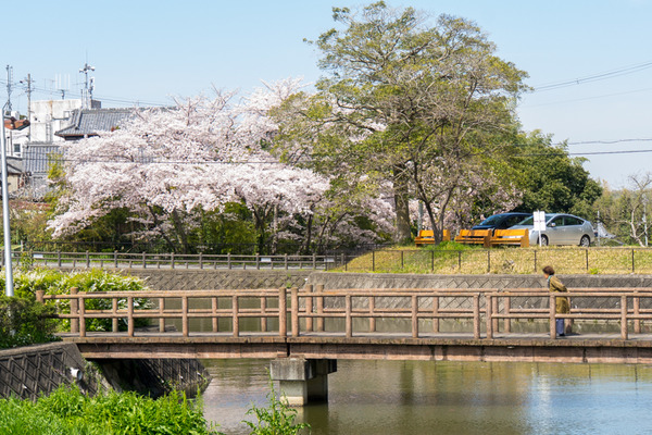 穂谷新池公園-20040713