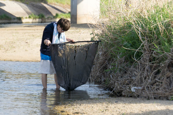 ぴー太郎-18041316