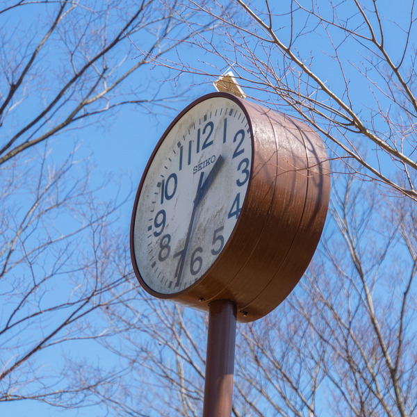 尊延寺公園-2004078