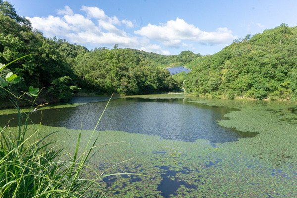 20200928京阪百貨店(小)-76