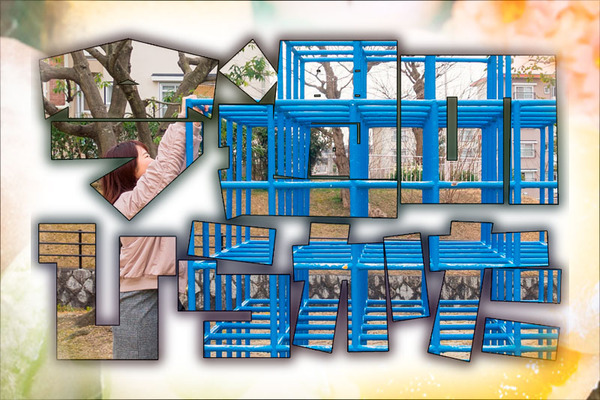 今週のひらかた