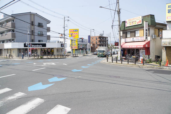 ドミノ-1904222