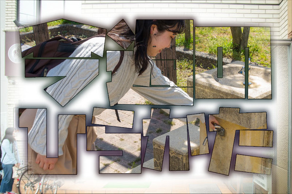 今週のひらかた701