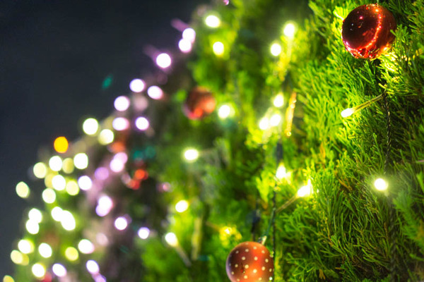 山ナリエ-16120936