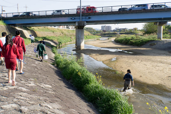 ぴー太郎-18041310