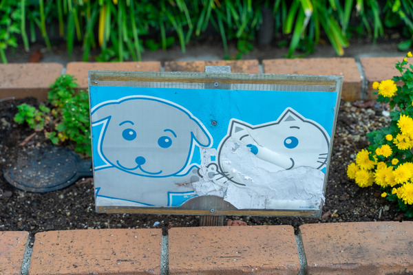 伊加賀公園-20110723