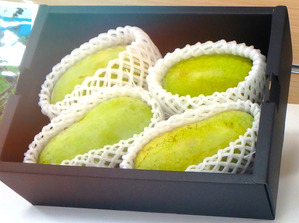 9B9BB839-0A72-4085-9FD2-7312530A7BB7