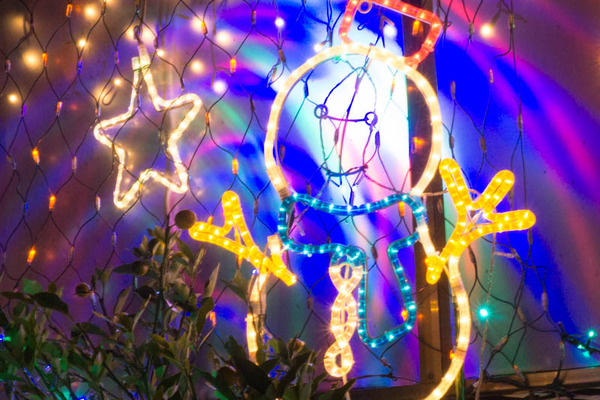 山ナリエ-16120935