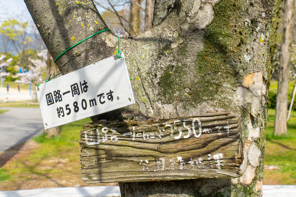 楠葉東公園-20040735