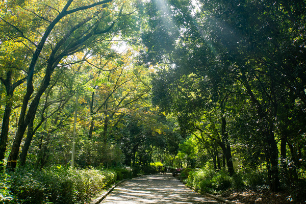 名称未設定202011031