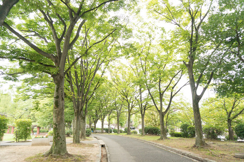 くずはワイン-194