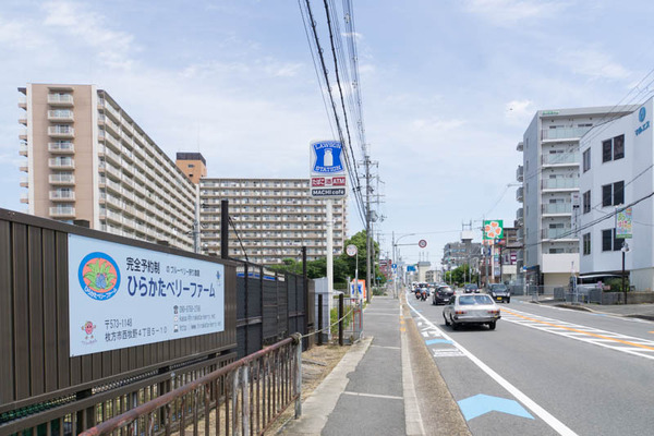 ひらかたベリーファーム-1805211