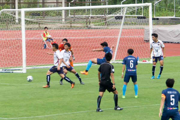 ティアモ-1806104