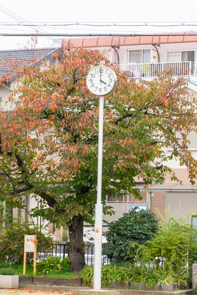 伊加賀公園-20110725