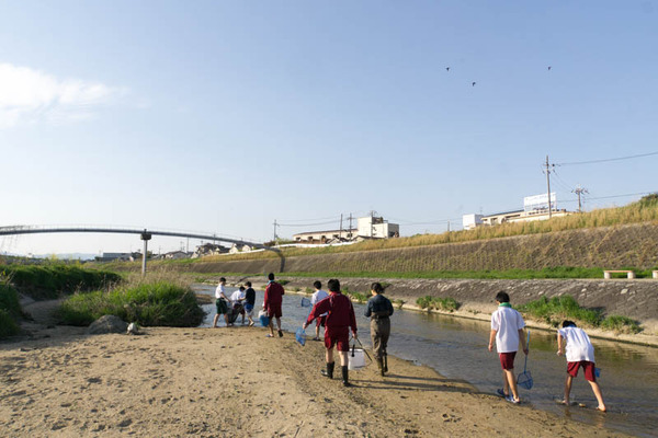 ぴー太郎-18041323