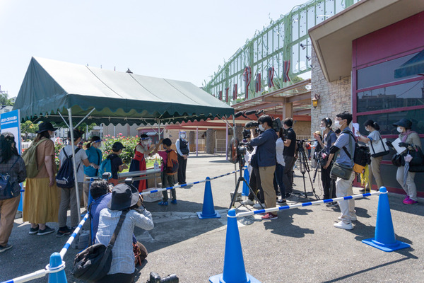 ひらパー(800)_20200529-14