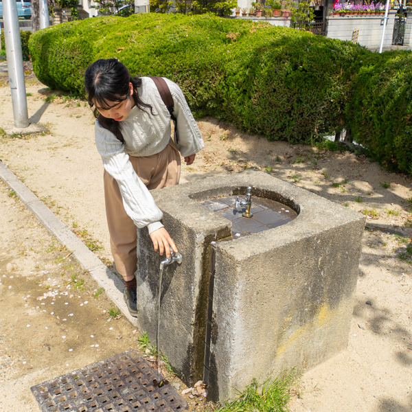 やまはら公園-2004078