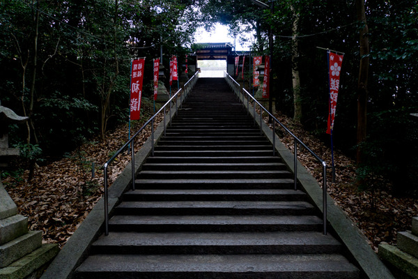 さだ神社-15121901